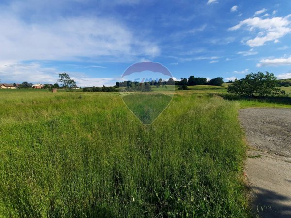 terreno agricolo in vendita a Pecetto di Valenza in zona Pellizzari