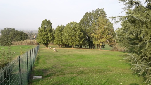 casa indipendente in vendita a Pecetto di Valenza