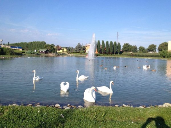 appartamento in vendita a San Rocco al Porto