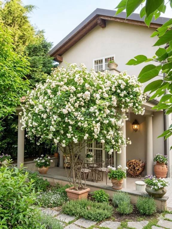 casa indipendente in vendita a Sant'Angelo Lodigiano