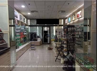 appartamento in vendita a Sant'Angelo Lodigiano
