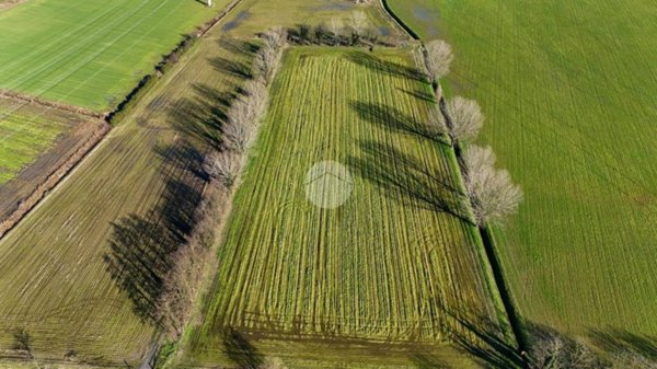terreno agricolo in vendita a Santo Stefano Lodigiano