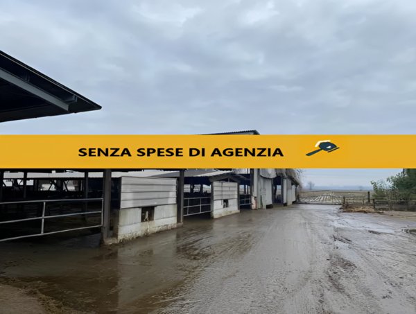 terreno agricolo in vendita a Senna Lodigiana