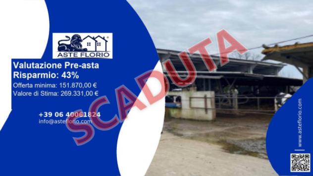 immagine annuncio 0 di 12