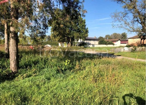 terreno agricolo in vendita a Terranova dei Passerini