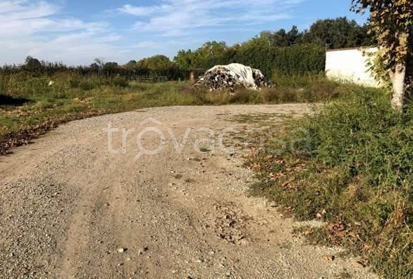 terreno agricolo in vendita a Terranova dei Passerini