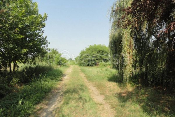 terreno agricolo in vendita a Turano Lodigiano