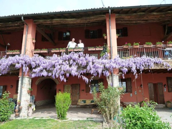 casa indipendente in vendita a Zelo Buon Persico