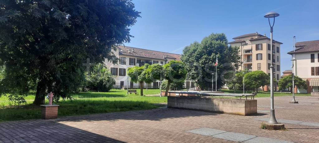 bivano in vendita a Zelo Buon Persico