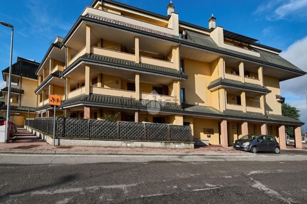 immagine annuncio 0 di 1