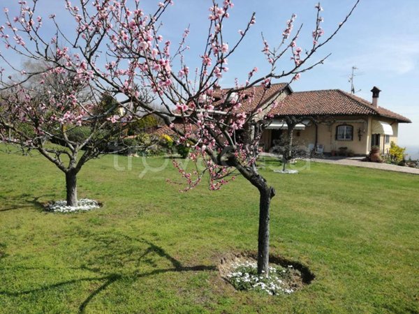 casa indipendente in vendita a Pietra Marazzi