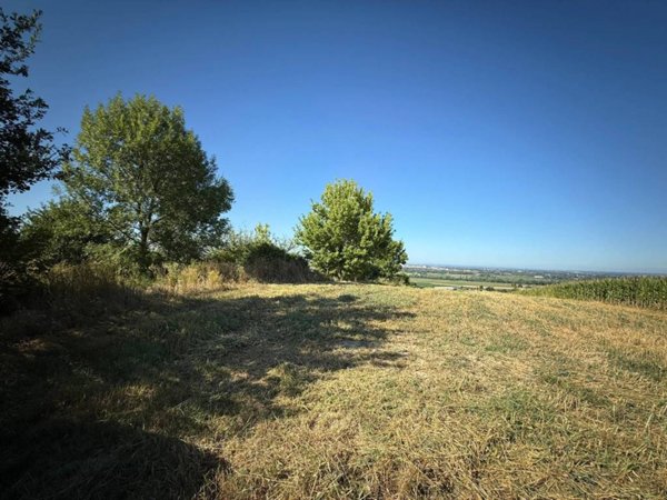 terreno agricolo in vendita a Pietra Marazzi