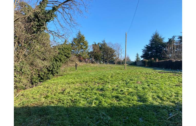 terreno edificabile in vendita a Pietra Marazzi