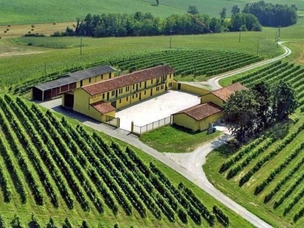 casale in vendita a Pontestura
