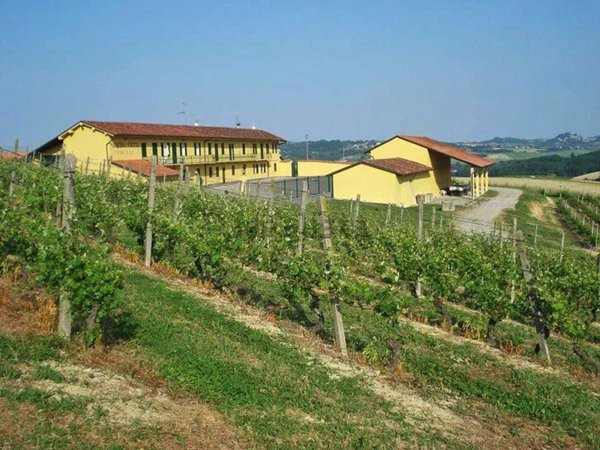 casale in vendita a Pontestura