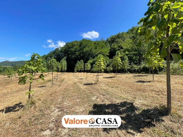 casa indipendente in vendita a Ponzone in zona Pianlago