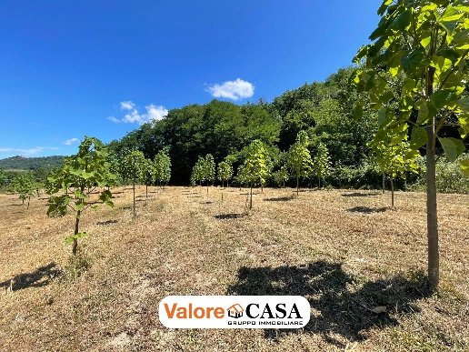 casale in vendita a Ponzone in zona Pianlago