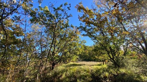 casa indipendente in vendita a Ponzone