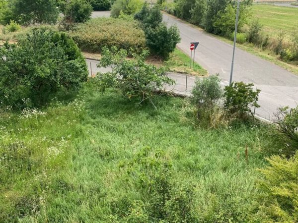 appartamento in vendita a Pozzolo Formigaro