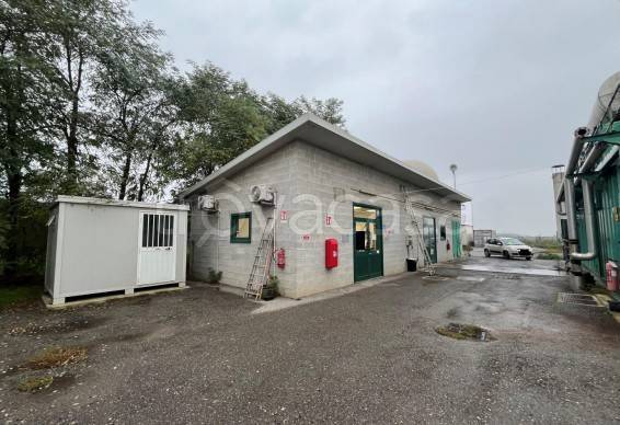 azienda agricola in vendita a Pozzolo Formigaro