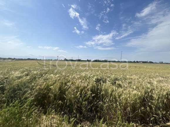 terreno agricolo in vendita a Pozzolo Formigaro