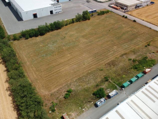 terreno agricolo in vendita a Pozzolo Formigaro