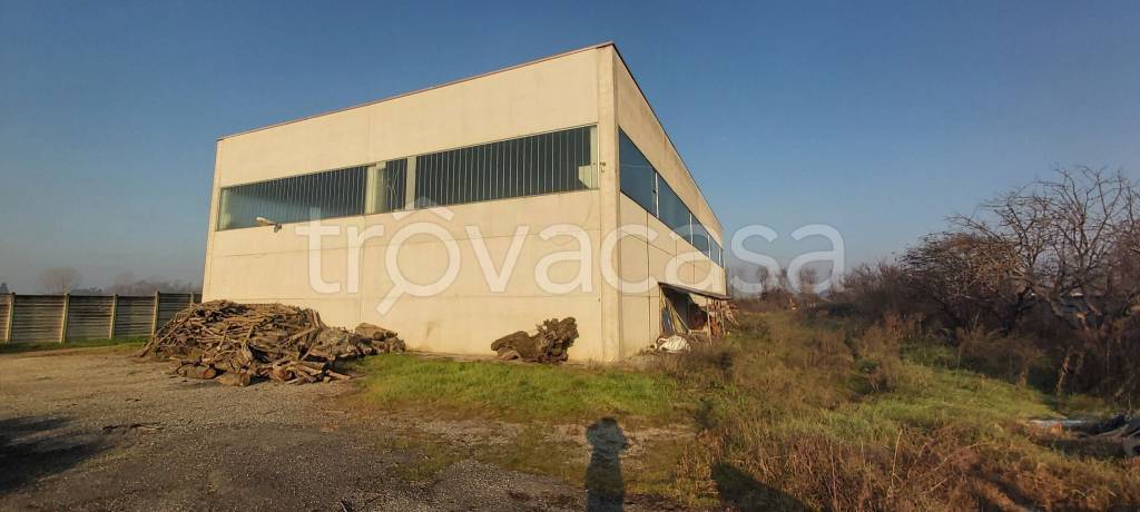 locale commerciale in vendita a Quargnento