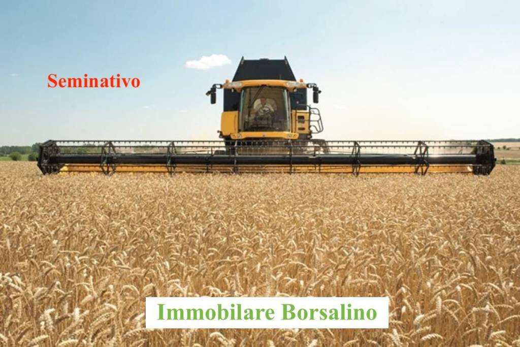 terreno agricolo in vendita a Quargnento