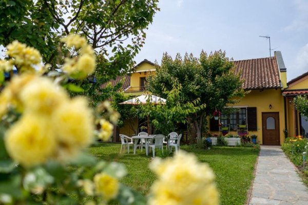 casa indipendente in vendita a Quargnento