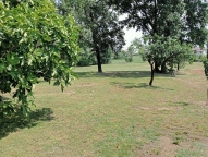 casale in vendita a Quattordio