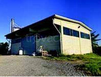 appartamento in vendita a Quattordio