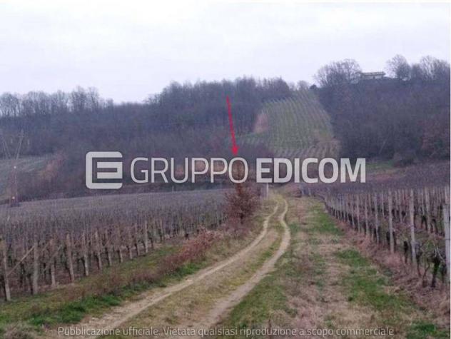 terreno agricolo in vendita a Rivalta Bormida