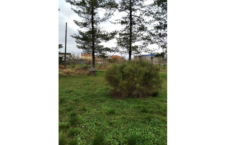 casa indipendente in vendita a Rivalta Bormida