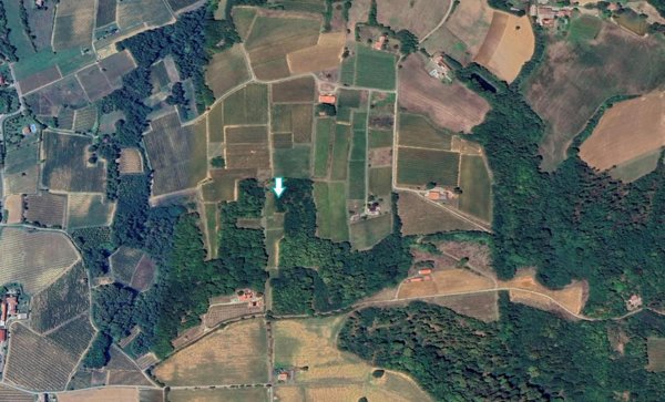 terreno agricolo in vendita a Rivalta Bormida