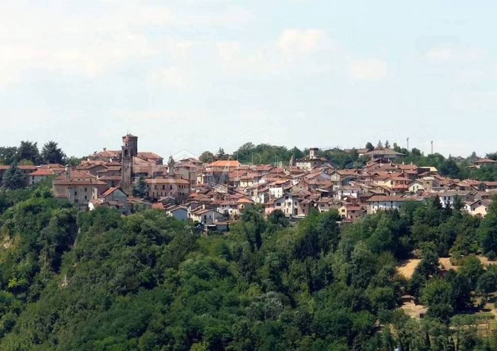 terreno agricolo in vendita a Rocca Grimalda
