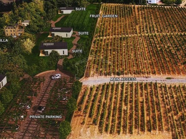 terreno agricolo in vendita a Rocca Grimalda