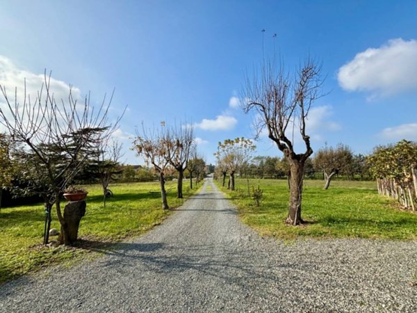 casa indipendente in vendita a Rocca Grimalda
