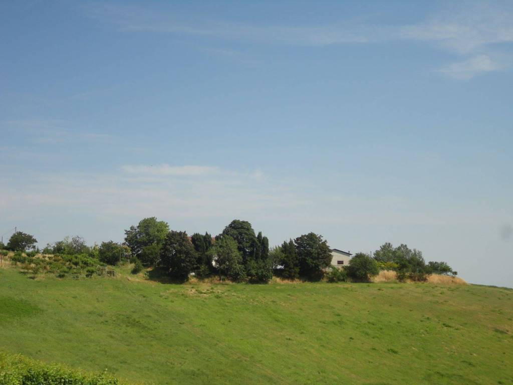 casa indipendente in vendita a Rocca Grimalda
