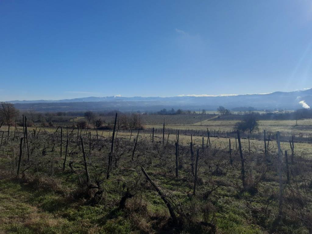 casa indipendente in vendita a Rocca Grimalda in zona San Giacomo