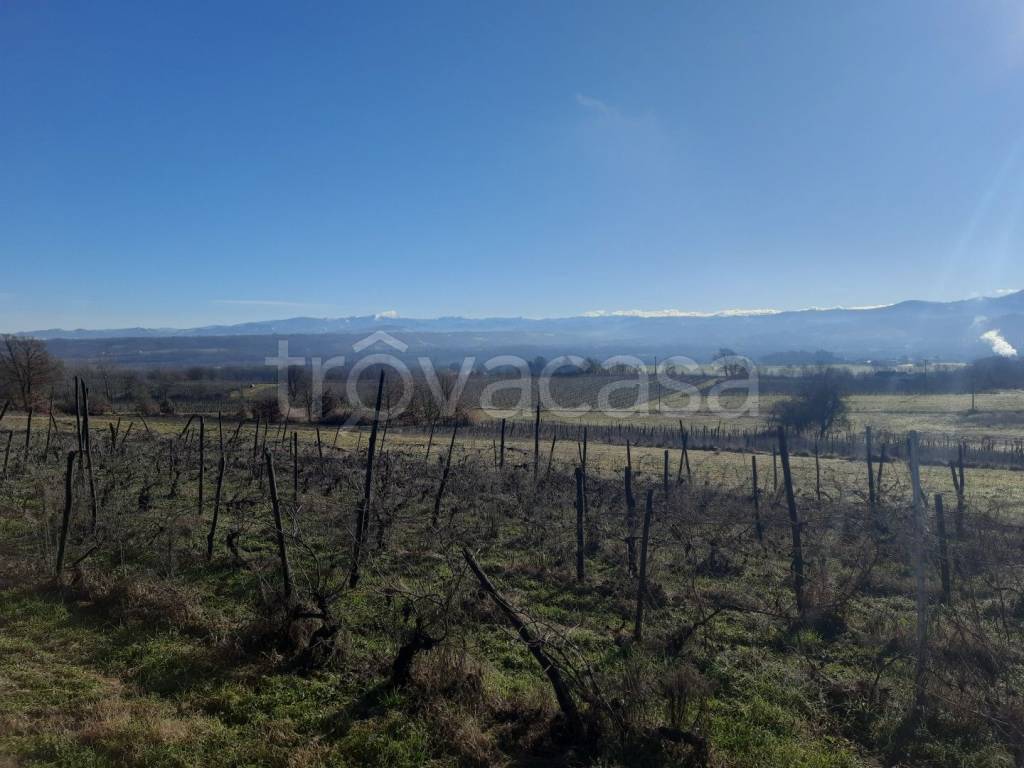 casa indipendente in vendita a Rocca Grimalda in zona San Giacomo