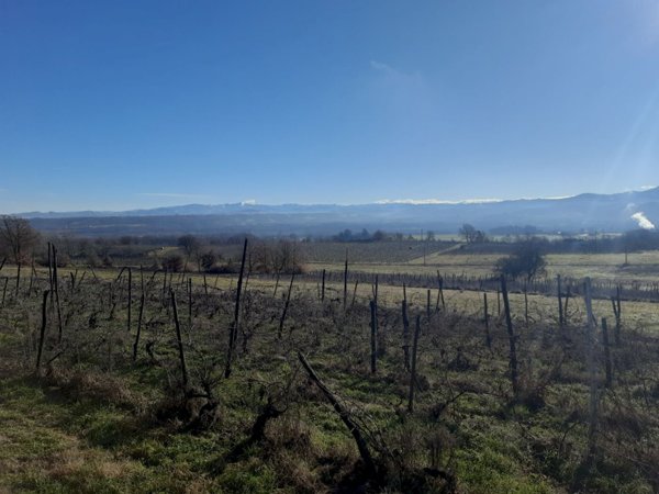 casale in vendita a Rocca Grimalda in zona San Giacomo