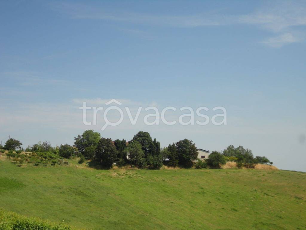 casa indipendente in vendita a Rocca Grimalda in zona San Giacomo