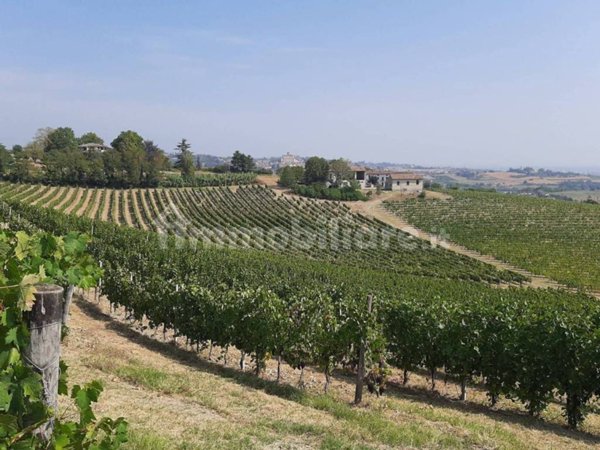 casa indipendente in vendita a Rosignano Monferrato
