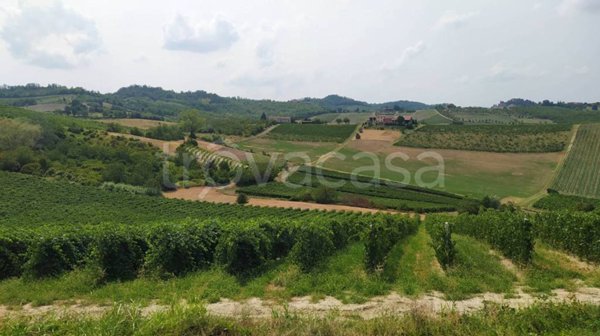 casa indipendente in vendita a Rosignano Monferrato