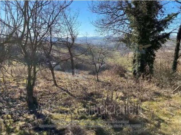 terreno edificabile in vendita a Rosignano Monferrato