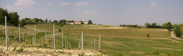casa indipendente in vendita a Rosignano Monferrato