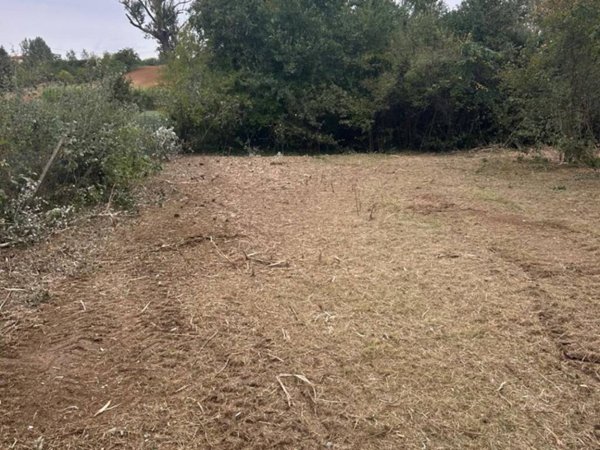 terreno agricolo in vendita a Rosignano Monferrato