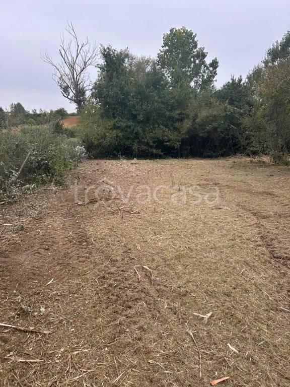 terreno agricolo in vendita a Rosignano Monferrato