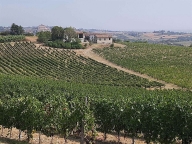 casa indipendente in vendita a Rosignano Monferrato