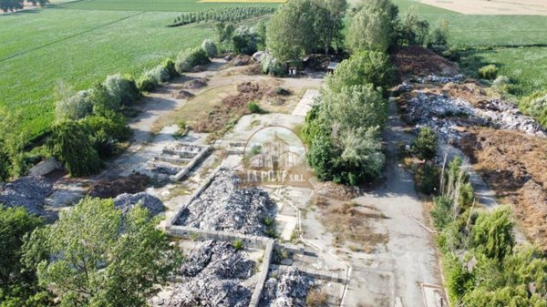 terreno agricolo in vendita a Sale